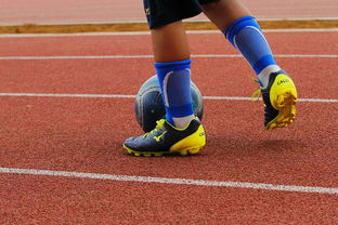 开云首页登录-蛙泳对决奥地利游出新速度，奥运会蛙游泳决赛视频