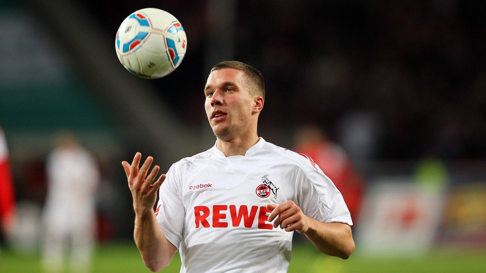 伊朗马术协会建立马匹基因数据库，促进马匹选育与训练。，伊朗马球